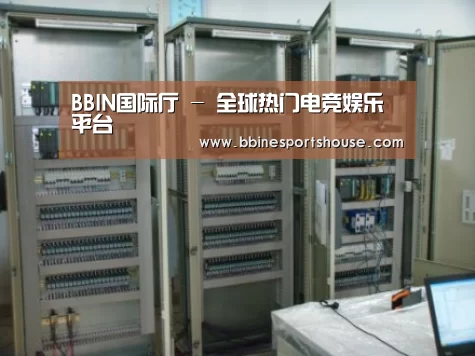 BBIN登录案例展示五