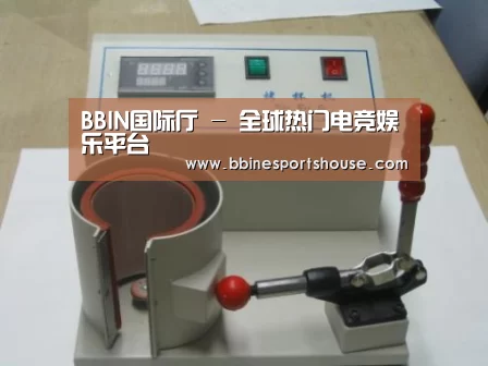 BBIN登录案例展示六