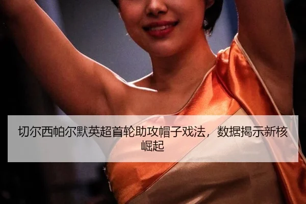 qie-er-xi-pa-er-mo-ying-chao-shou-lun-zhu-gong-mao-zi-xi-fa-shu-ju-jie-shi-xin-he-jue-qi-2-736.jpg