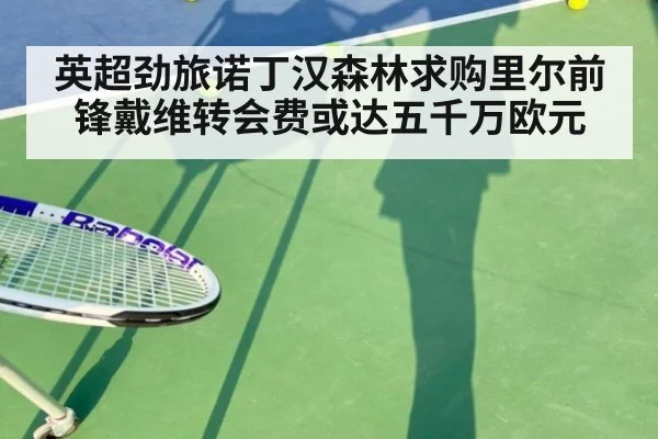 英超劲旅诺丁汉森林求购里尔前锋戴维转会费或达五千万欧元