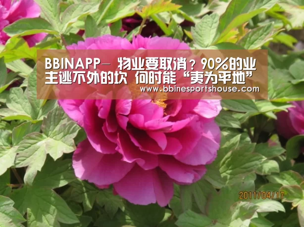 BBINAPP-
物业要取消？90%的业主逃不外的坎 何时能“夷为平地”？| 幸福策评(图4)