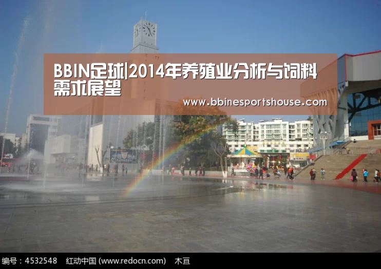 BBIN国际厅