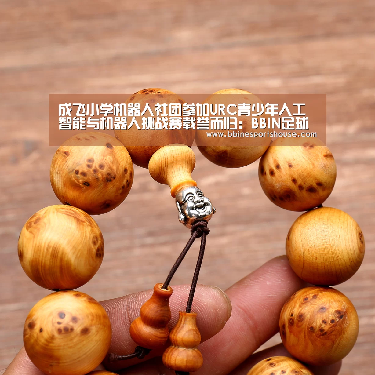 BBIN登录