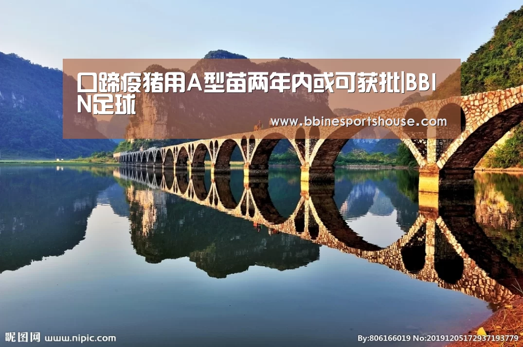 BBIN登录